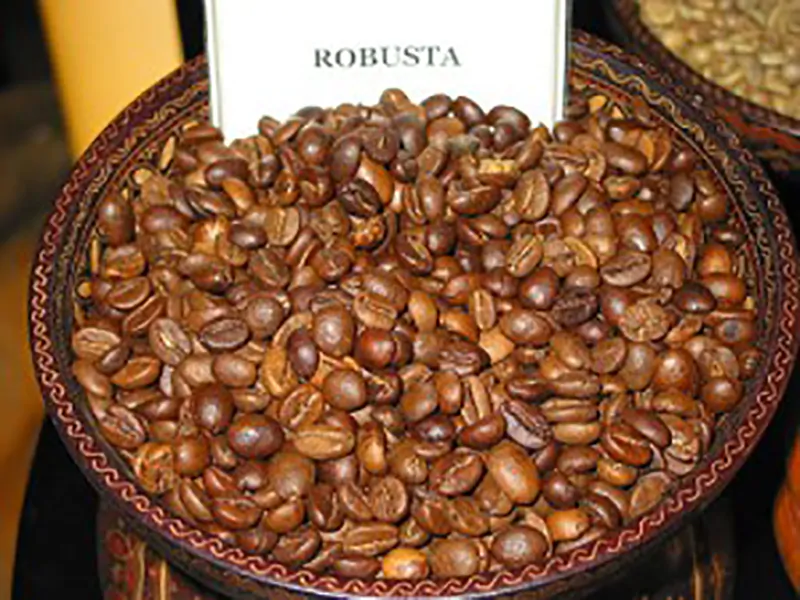 Café Expresso